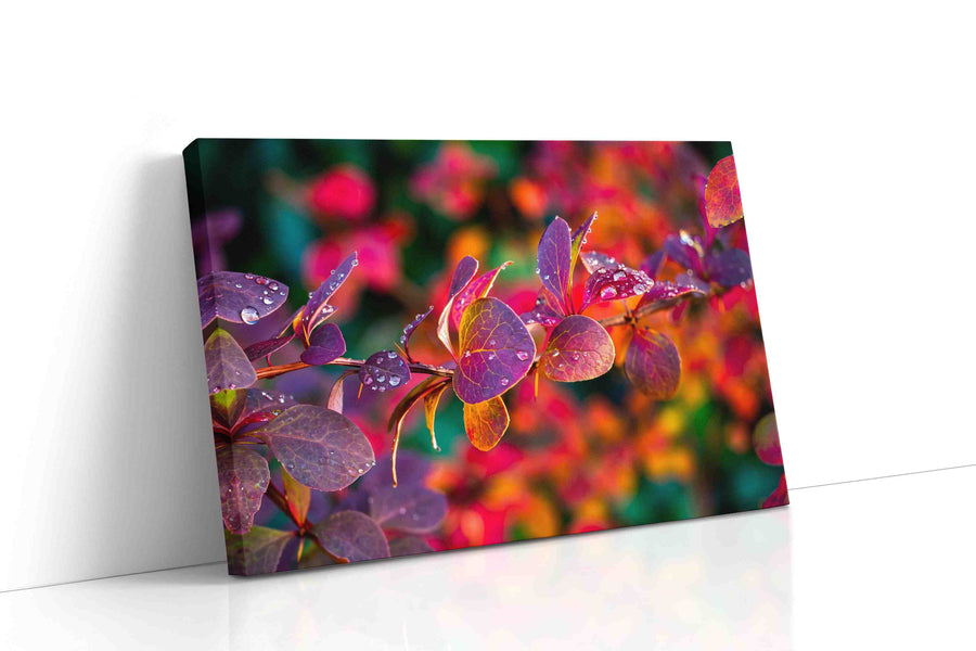 Raindrops on Fiery Petals leaves canvas print, gallery-wrapped, ready to hang