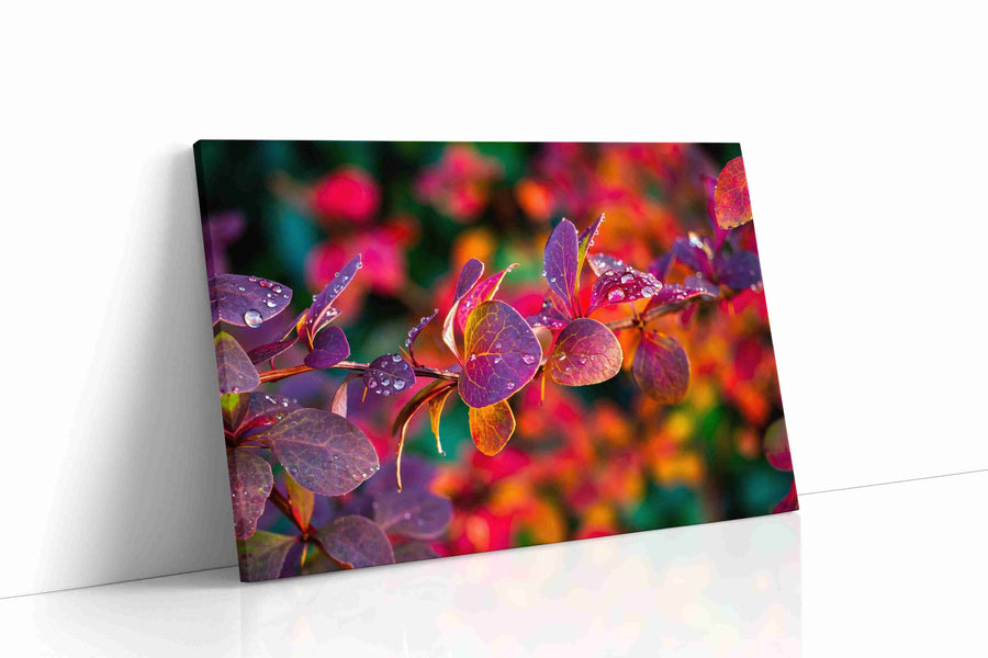 Raindrops on Fiery Petals leaves canvas print gallery-wrapped landscape canvas studio shot