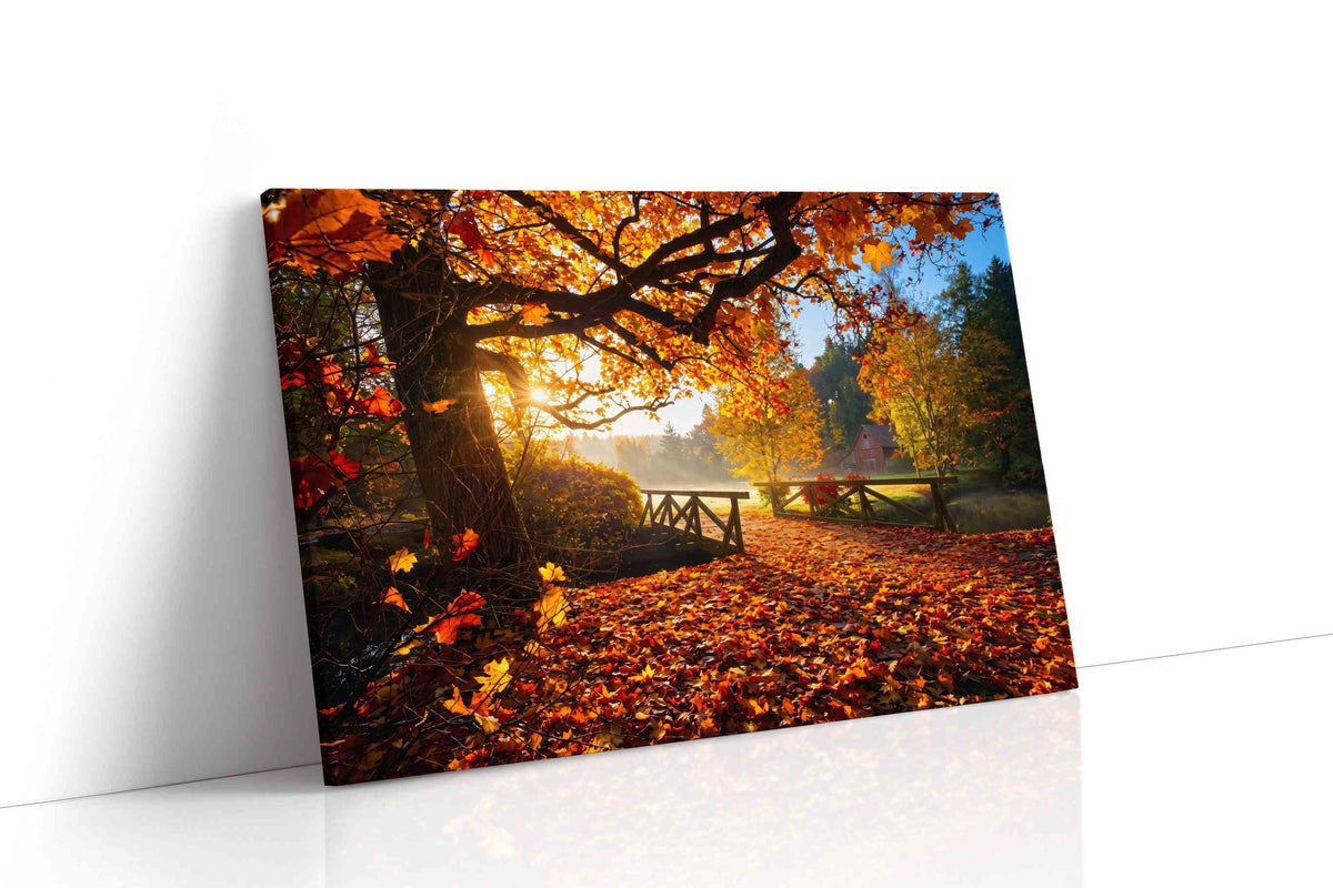 Autumn's Golden Embrace autumn canvas print, gallery-wrapped, ready to hang