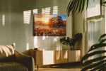 Autumn's Golden Embrace II autumn canvas print, hanging on wall