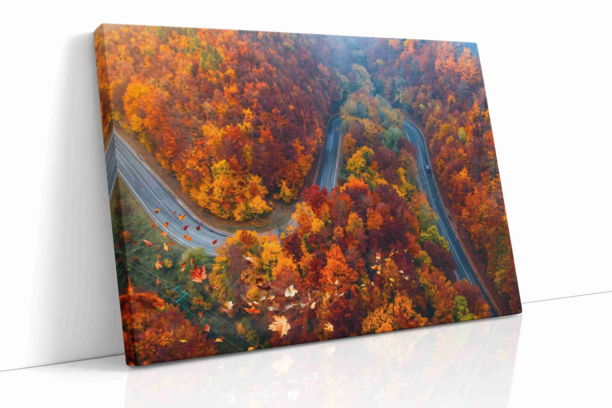 Autumn's Winding Symphony autumn canvas print, gallery-wrapped, ready to hang