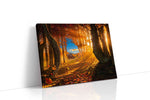 Enchanted Autumn Glow autumn canvas print gallery-wrapped landscape canvas studio shot