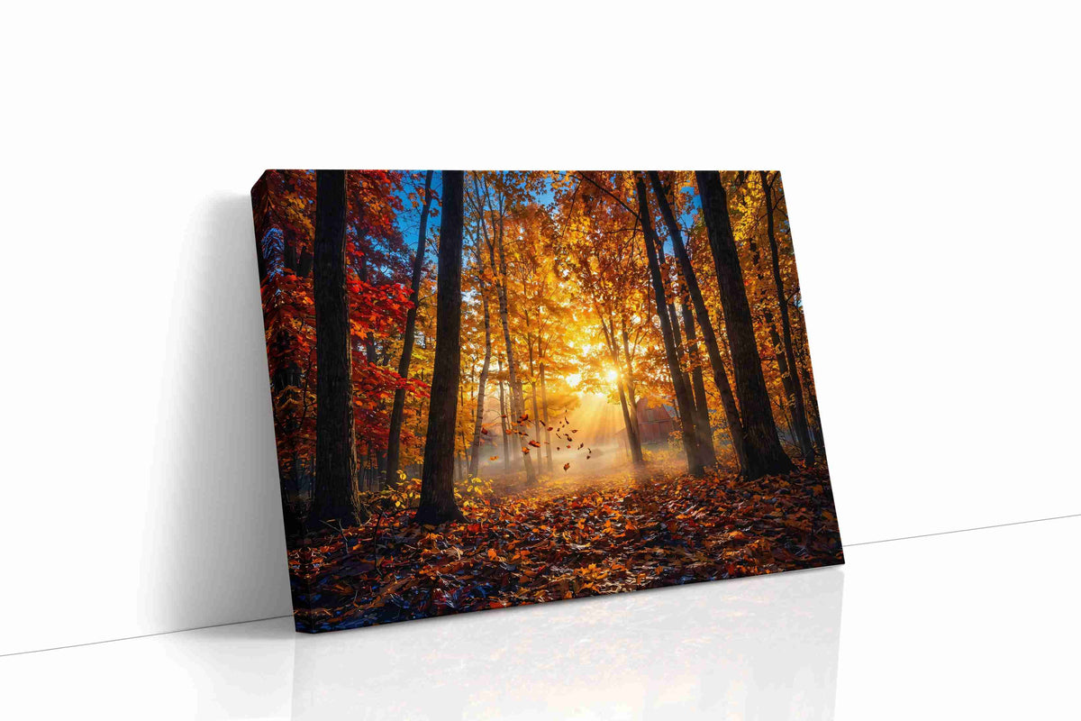 Ethereal Autumn Light autumn canvas print gallery-wrapped landscape canvas studio shot