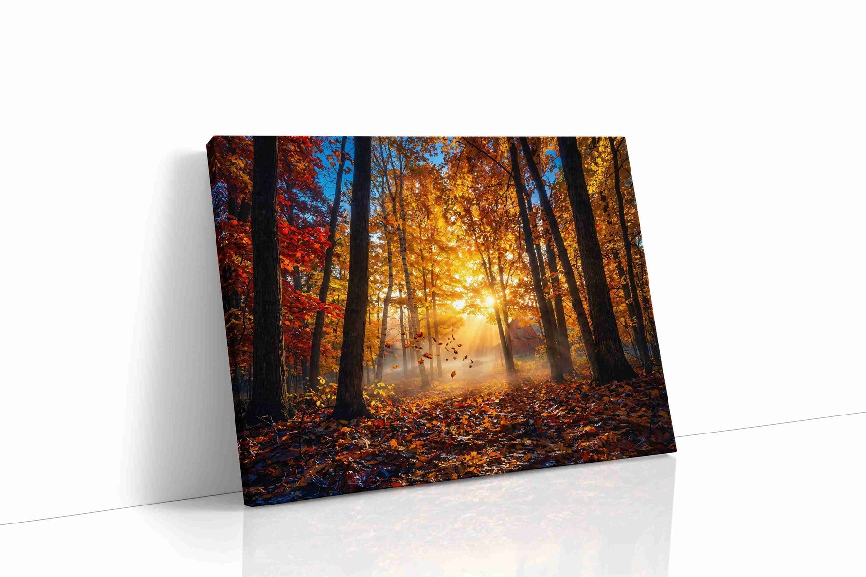 Ethereal Autumn Light autumn canvas print, gallery-wrapped, ready to hang