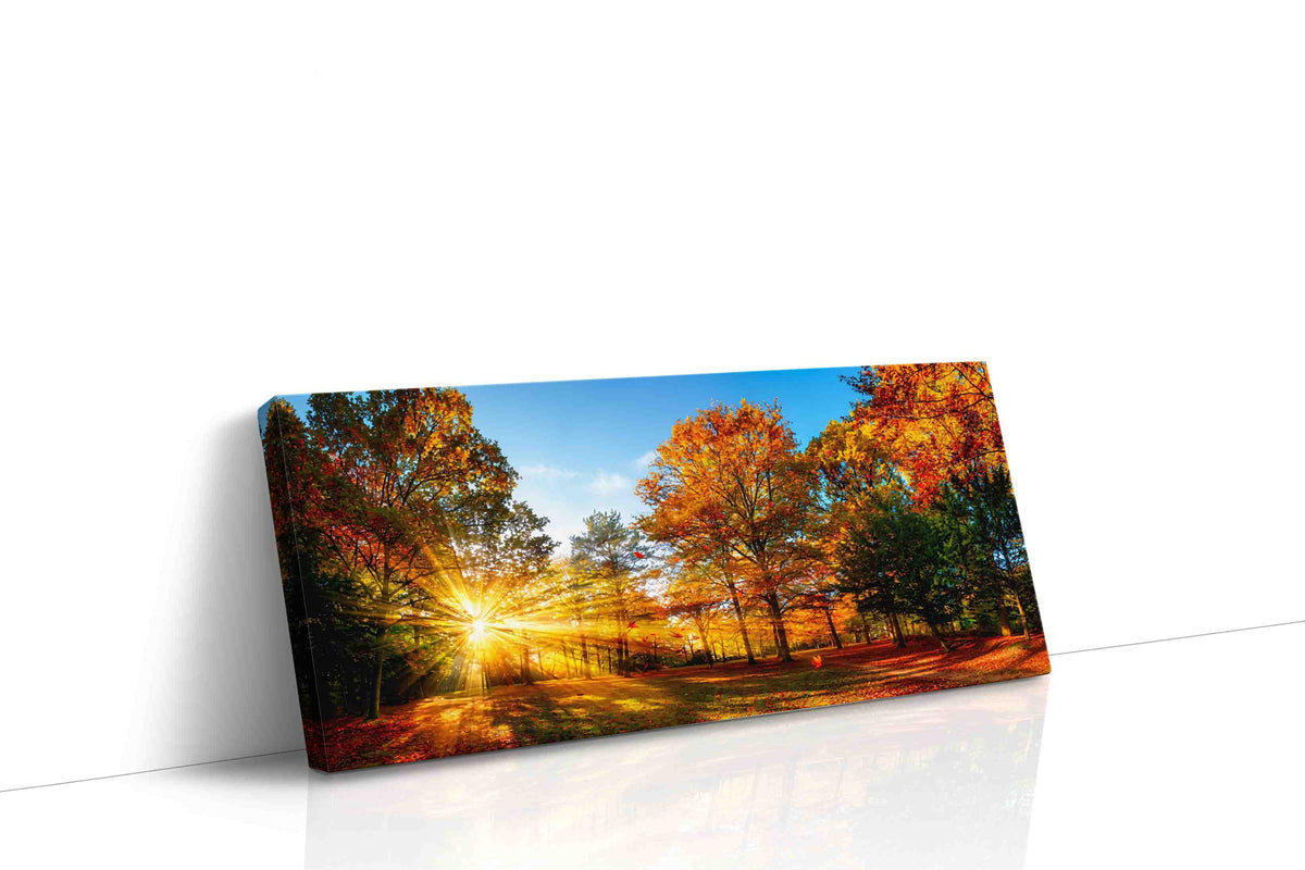 Golden Autumn Radiance autumn canvas print gallery-wrapped landscape canvas studio shot