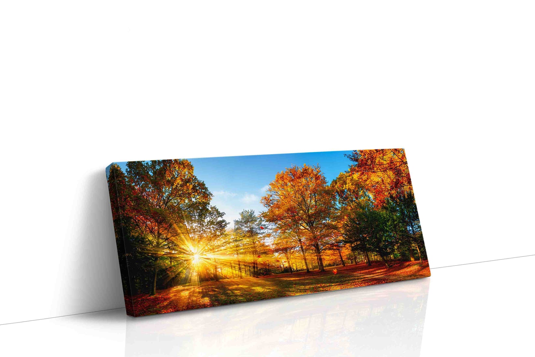 Golden Autumn Radiance autumn canvas print gallery-wrapped landscape canvas studio shot