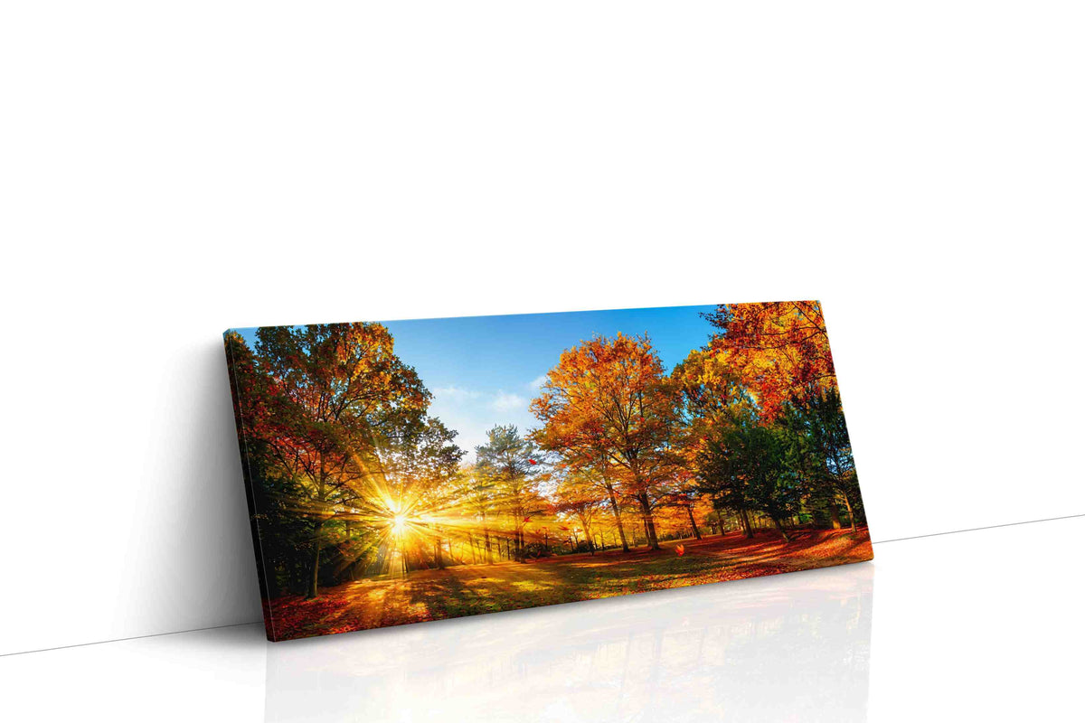 Golden Autumn Radiance autumn canvas print, gallery-wrapped, ready to hang