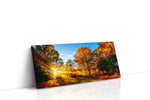 Golden Autumn Radiance autumn canvas print, gallery-wrapped, ready to hang