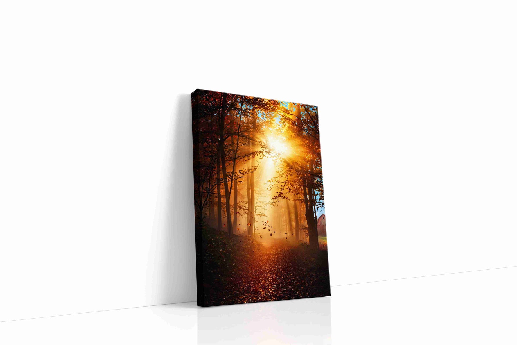 Golden Embrace of Autumn autumn canvas print gallery-wrapped portrait canvas studio shot