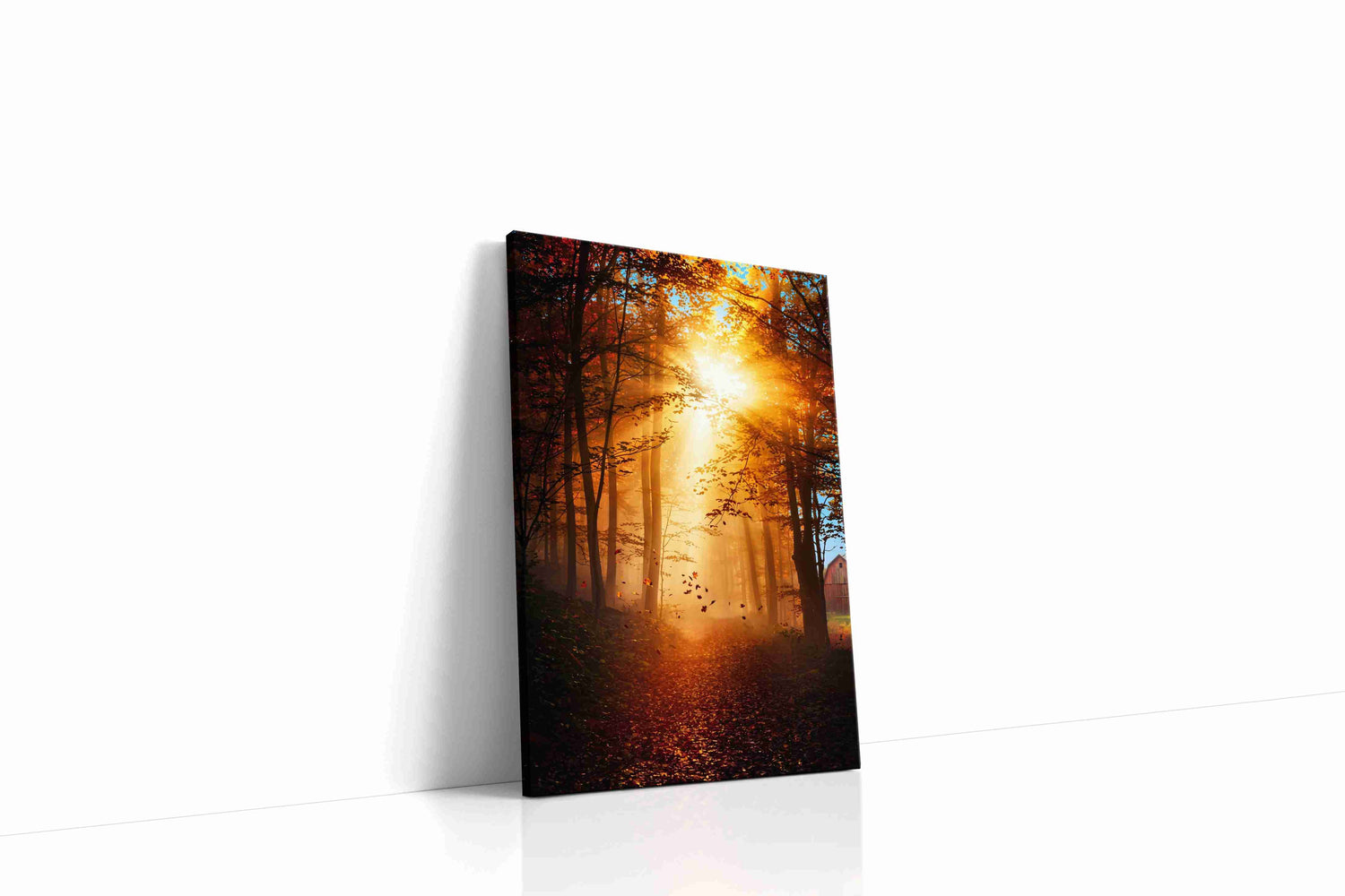 Golden Embrace of Autumn autumn canvas print, gallery-wrapped, ready to hang