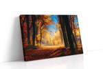 Whispering Leaves of Autumn autumn canvas print gallery-wrapped landscape canvas studio shot