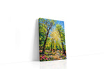 Sunlit Symphony in Bloom spring canvas print gallery-wrapped portrait canvas studio shot