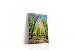 Sunlit Symphony in Bloom spring canvas print, gallery-wrapped, ready to hang