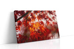 Crimson Whispers in the Breeze leaves canvas print gallery-wrapped landscape canvas studio shot
