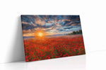 Ember Sky Over Poppies poppies canvas print, gallery-wrapped, ready to hang