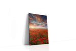 Ember Sky Over Poppies II poppies canvas print, gallery-wrapped, ready to hang