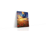 Poppies Beneath a Burning Sky npoppies canvas print gallery-wrapped portrait canvas studio shot