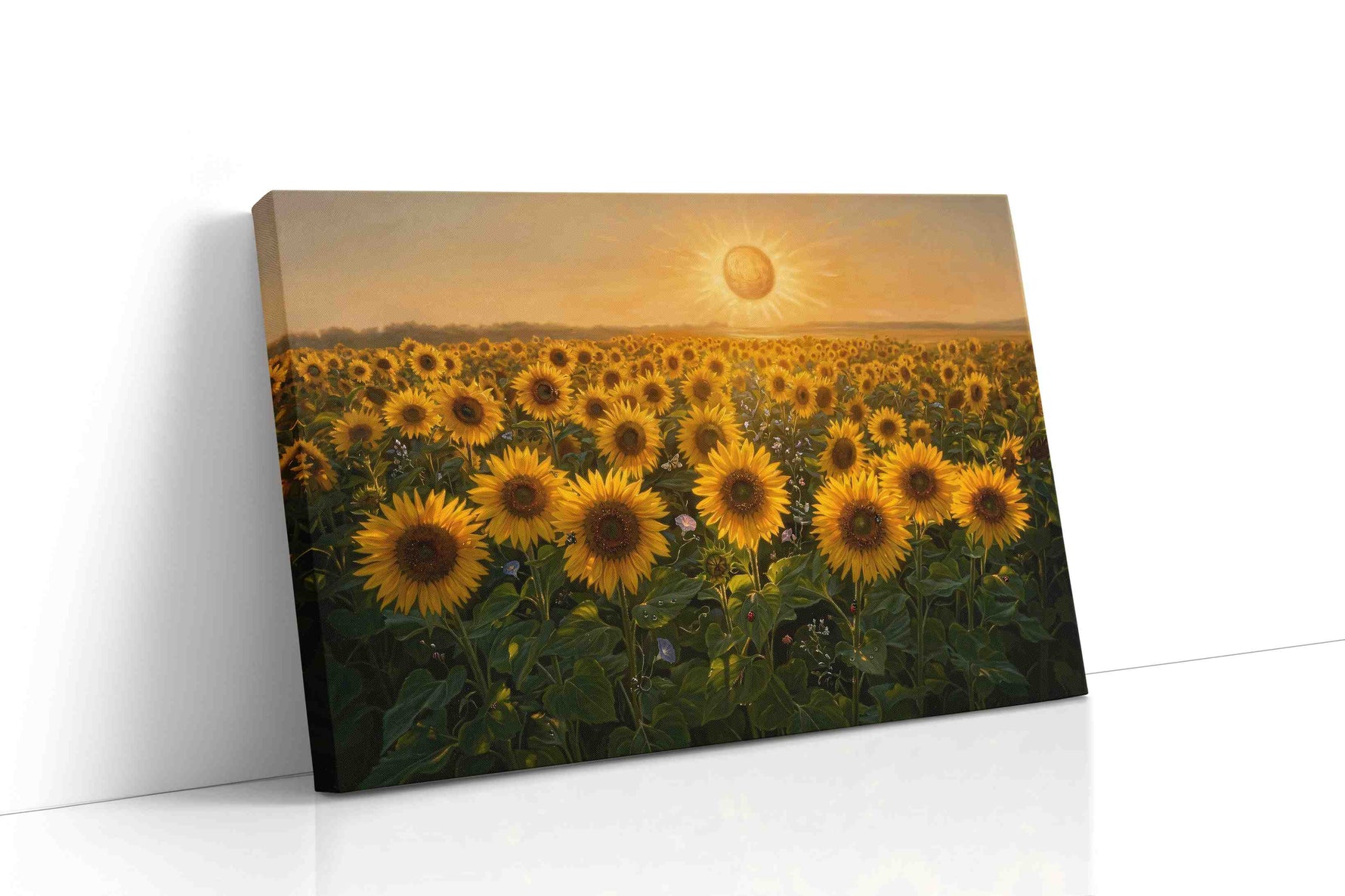 Solar Hymn of Sunflowers sunflowers canvas print, gallery-wrapped, ready to hang