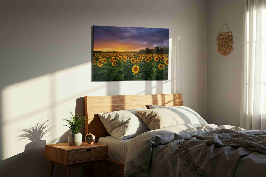 Sunlit Reverie Before Storm sunflowers canvas print, displayed in a bedroom