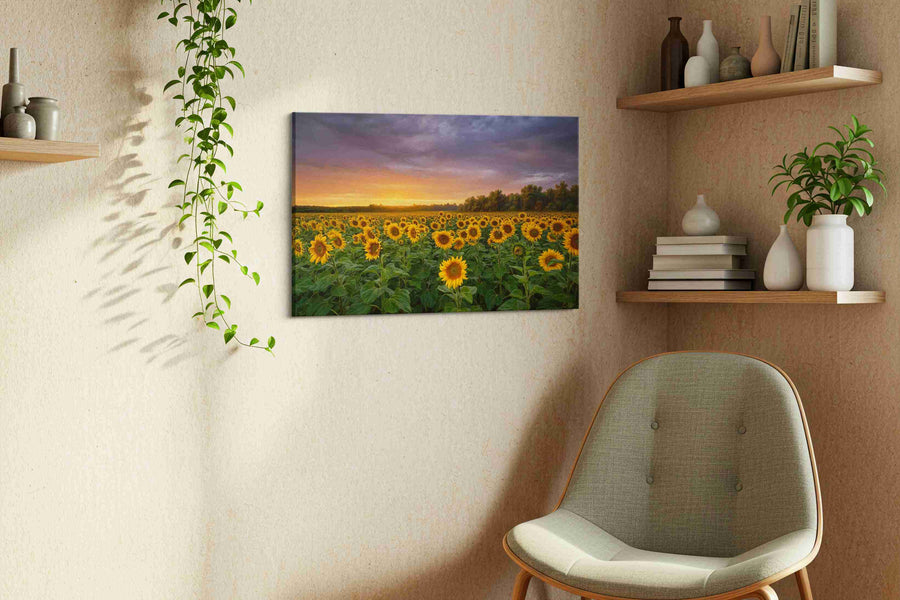 Sunlit Reverie Before Storm sunflowers canvas print, hanging on wall — view 3