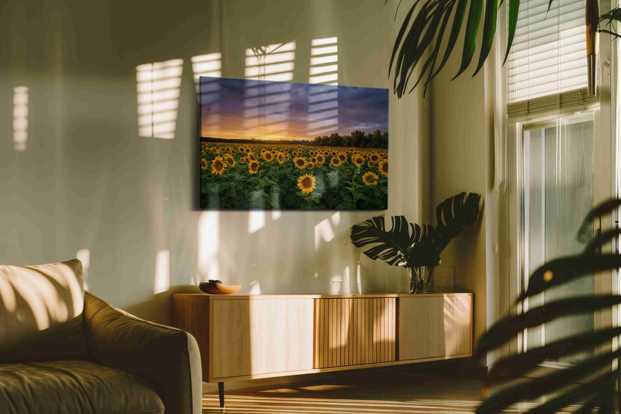 Sunlit Reverie Before Storm sunflowers canvas print in a hung canvas mockup