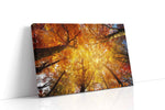 Cathedral of Amber Leaves autumn canvas print, gallery-wrapped, ready to hang