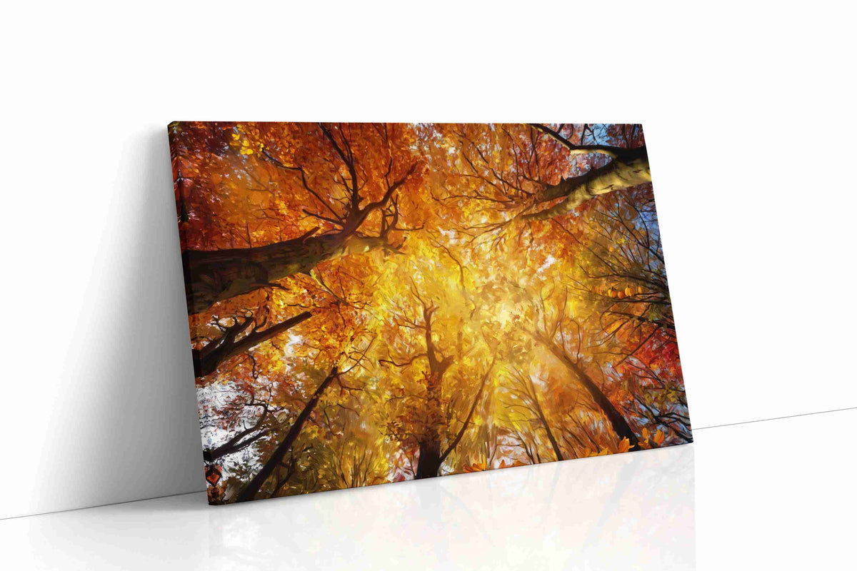Cathedral of Amber Leaves autumn canvas print gallery-wrapped landscape canvas studio shot