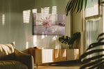 Pirouette in Blush Light dancing canvas print, on wall, lifestyle preview