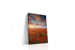 Ember Sky Poppy Reverie poppies canvas print, gallery-wrapped, ready to hang