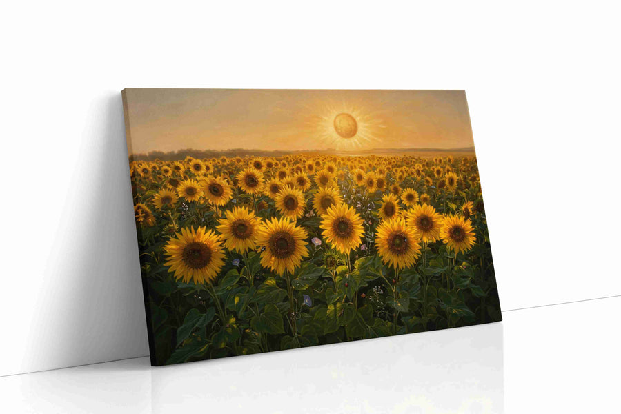 Sunlit Sea of Helianthus sunflowers canvas print, gallery-wrapped, ready to hang