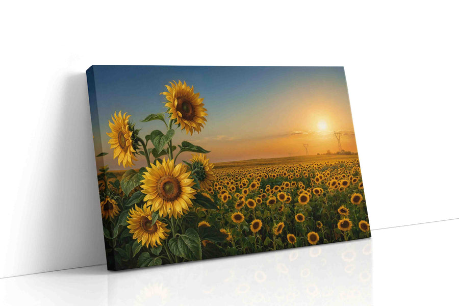 Where Sunflowers Keep the Light sunflowers canvas print gallery-wrapped landscape canvas studio shot