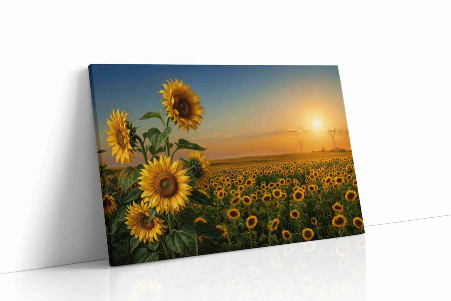 Where Sunflowers Keep the Light sunflowers canvas print, gallery-wrapped, ready to hang
