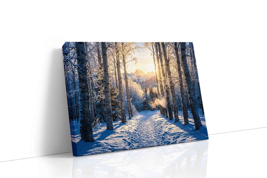 Frostlight Aspen Passage winter canvas print, gallery-wrapped, ready to hang