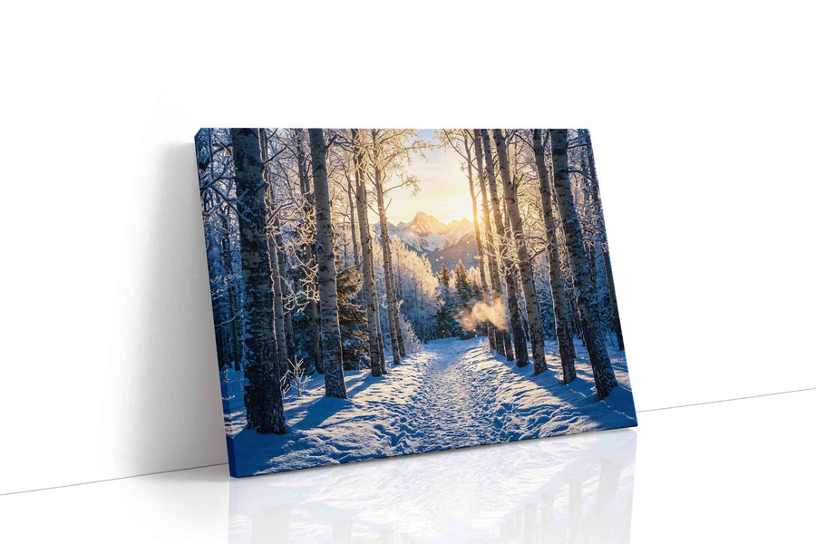 Frostlight Aspen Passage winter canvas print gallery-wrapped landscape canvas studio shot