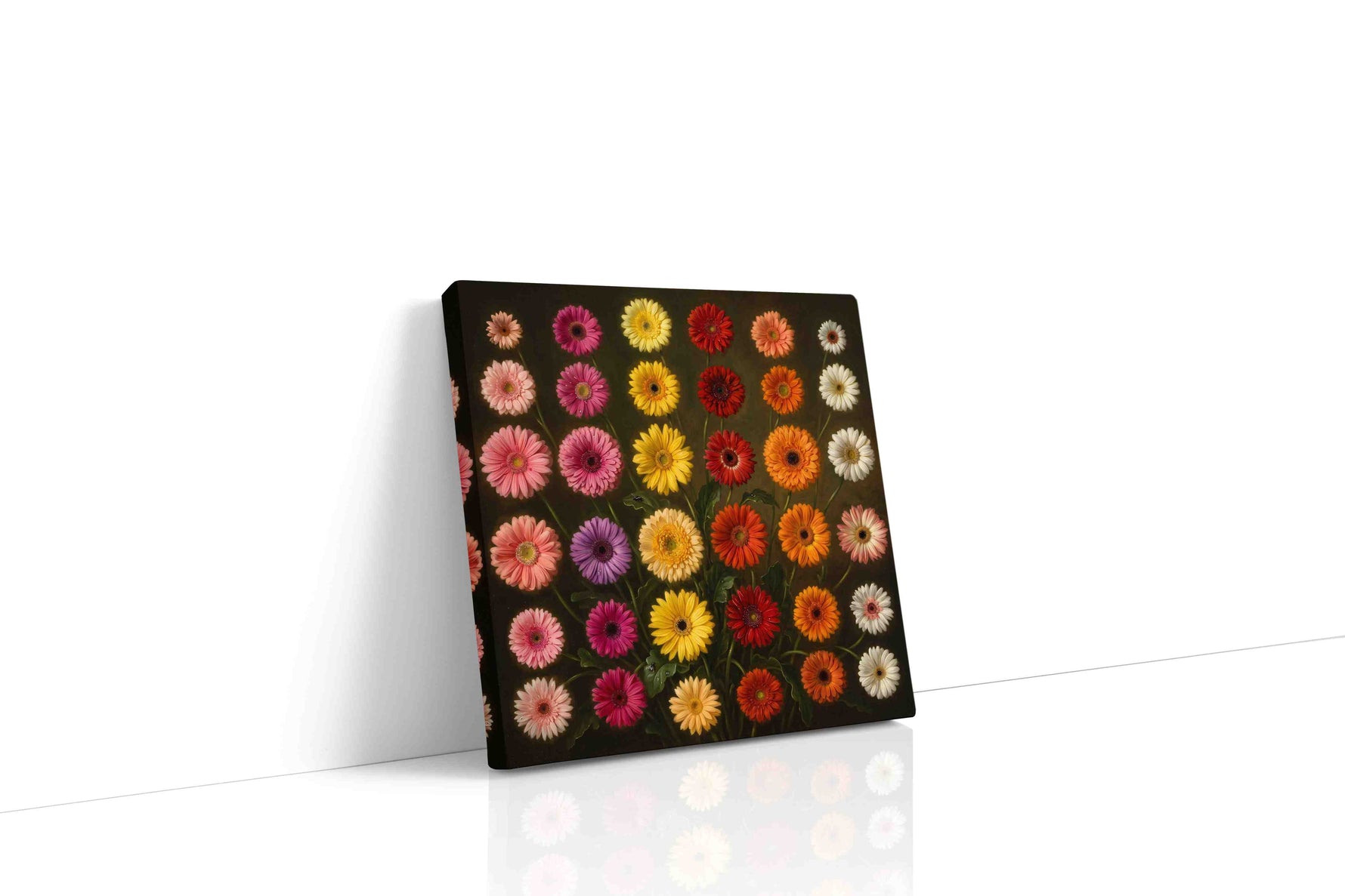 Velvet Gerbera Reverie canvas wall art gallery-wrapped square canvas studio shot