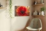 Ember Veil Poppy poppy canvas wall art displayed above a sofa in a styled living room scene