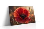 Ember Veil Poppy poppy canvas wall art displayed above a sofa in a modern living room
