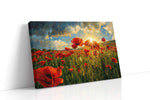 Emberfield at First Light poppy canvas wall art gallery-wrapped landscape canvas studio shot