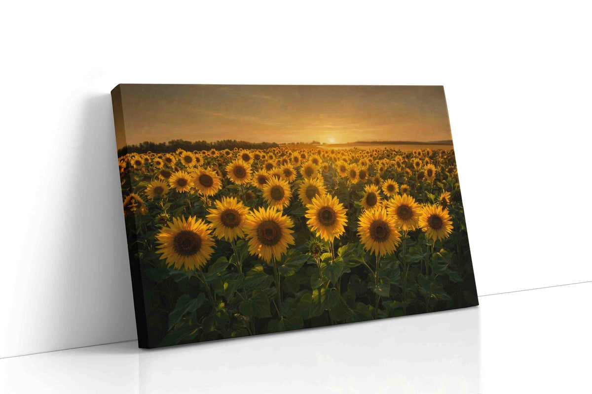 Sunlit Reverie in Bloom sunflower canvas wall art displayed above a sofa in a modern living room