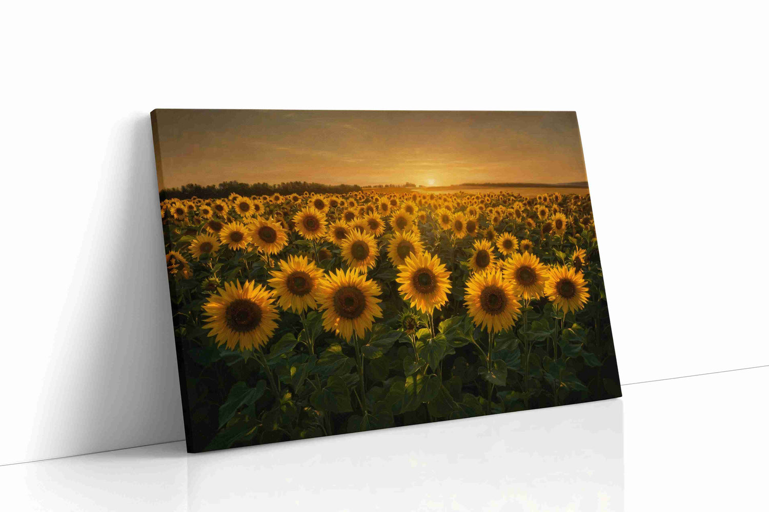 Sunlit Reverie in Bloom sunflower canvas wall art gallery-wrapped landscape canvas studio shot